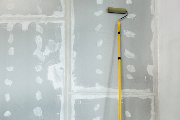 Best Residential Mold Inspection & Testing  in Canon, GA