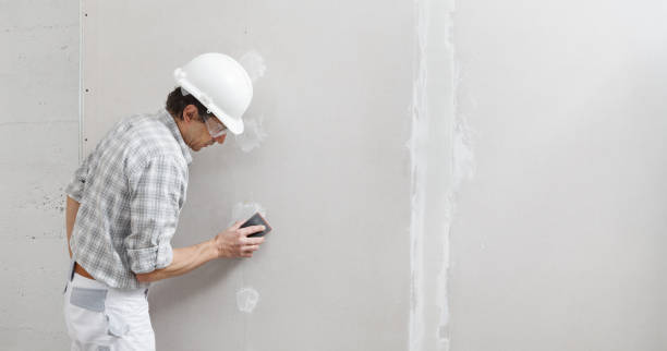 Best Emergency Mold Remediation  in Canon, GA