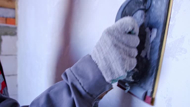 Best Mold Damage Restoration  in Canon, GA