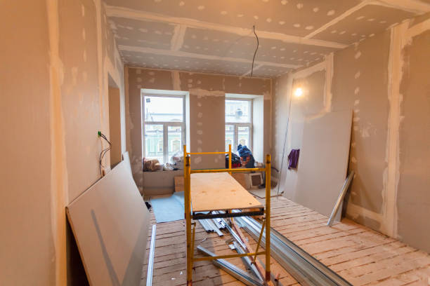 Best Black Mold Removal  in Canon, GA