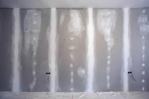 Best Mold Remediation for Healthcare Facilities  in Canon, GA