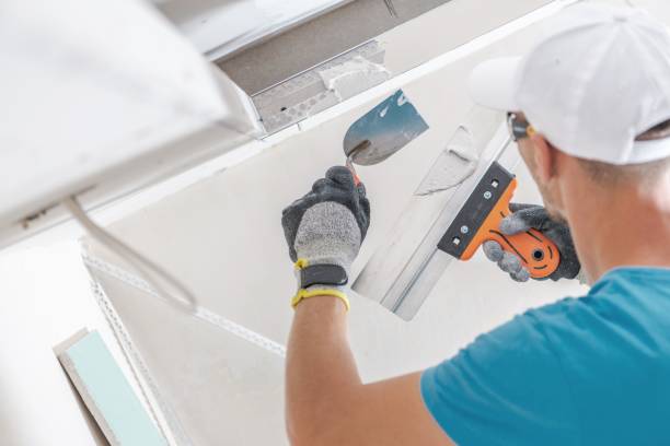 Best HVAC Mold Inspection and Cleaning  in Canon, GA